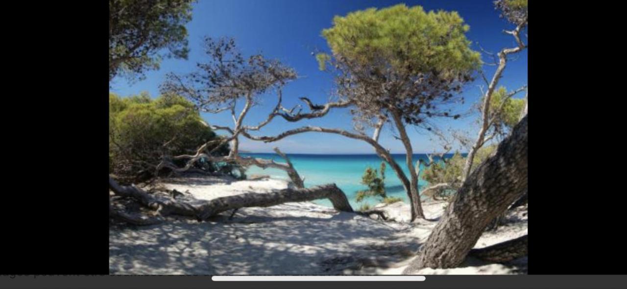 Residence Calme A 2 Km De Saint-Florent Oletta  Zewnętrze zdjęcie