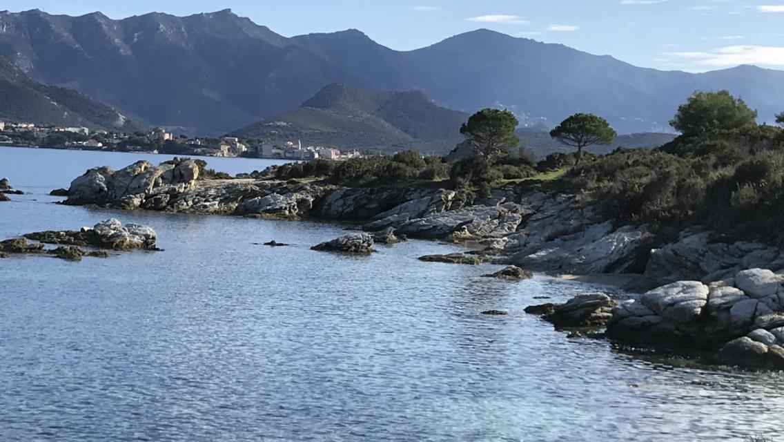 Residence Calme A 2 Km De Saint-Florent Oletta  Zewnętrze zdjęcie